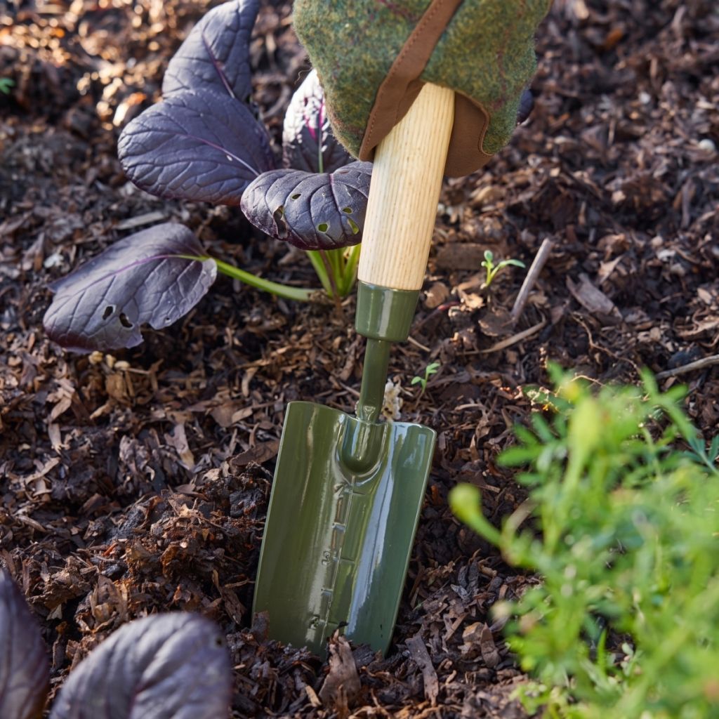 Schmaler abgestufter Pflanzer BoronGreen Burgon and Ball - RHS-Serie