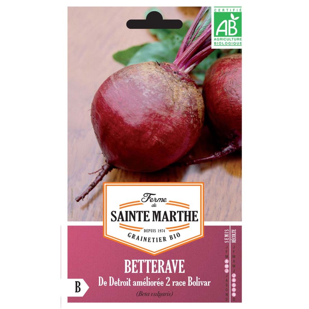 Rote Bete De Detroit Améliorée 2 race Bolivar Bio - La Ferme de Sainte-Marthe