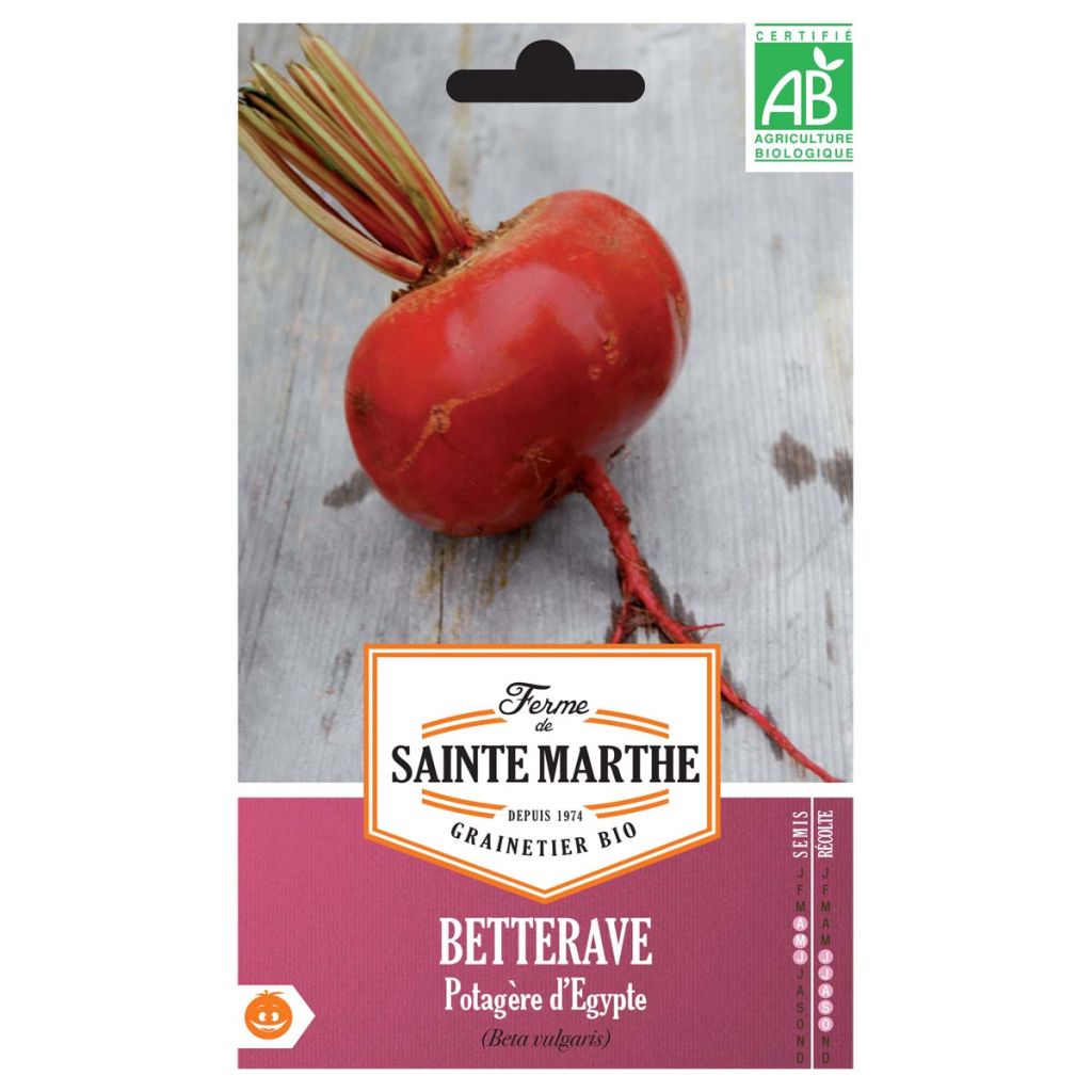 Rote Bete D'Egypte Bio - La Ferme de Sainte-Marthe