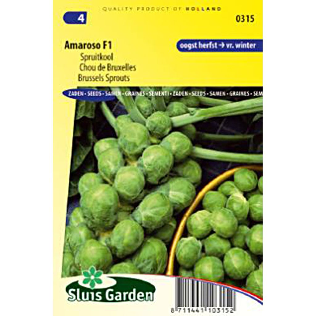 Rosenkohl Amaroso F1