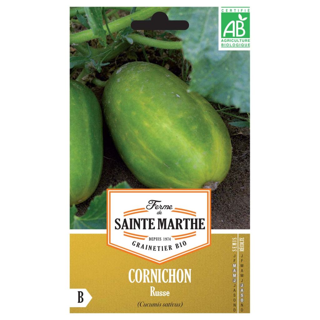 Einlegegurke Russe Bio - Ferme de Sainte Marthe