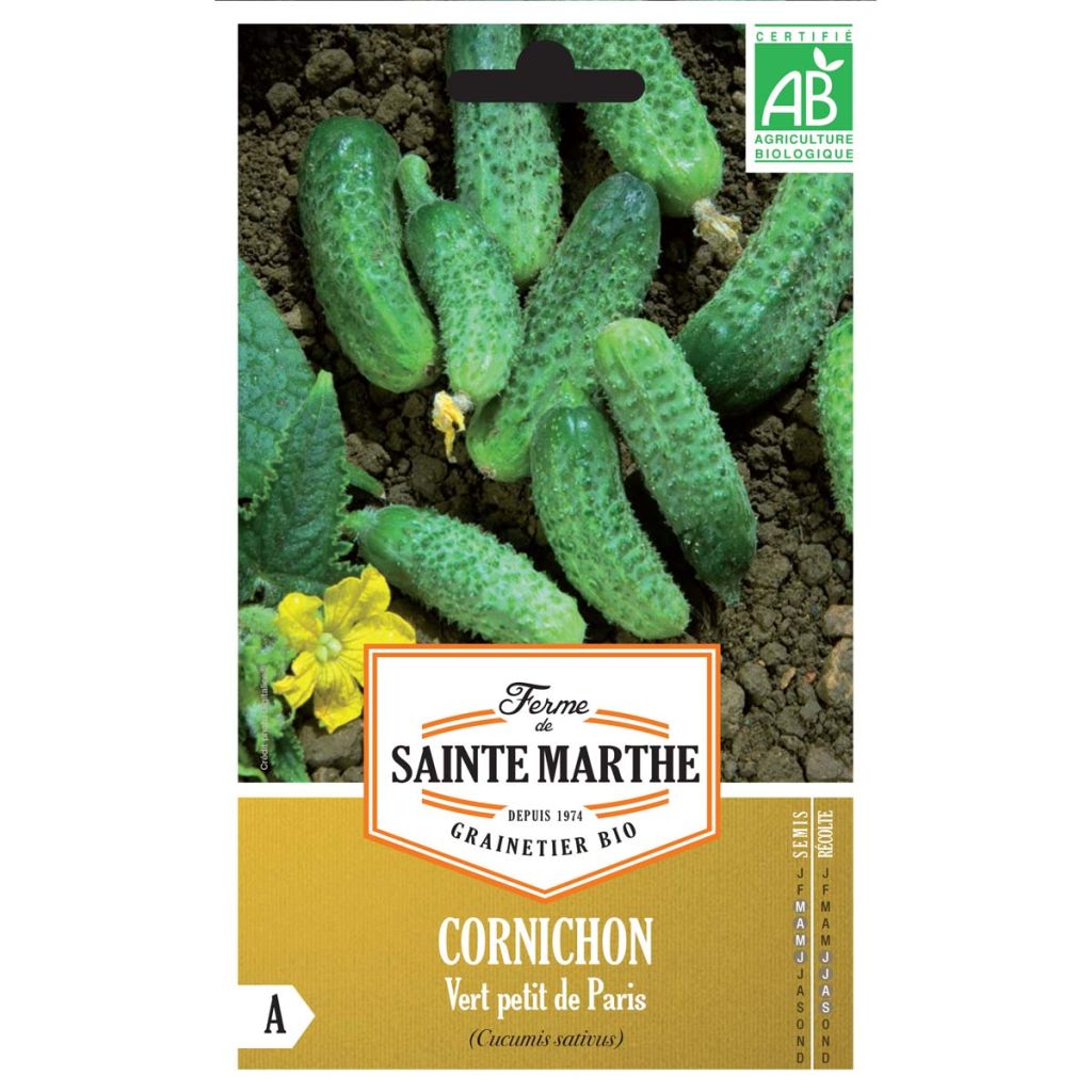 Einlegegurke Vert Petit de Paris Bio - Ferme de Sainte Marthe