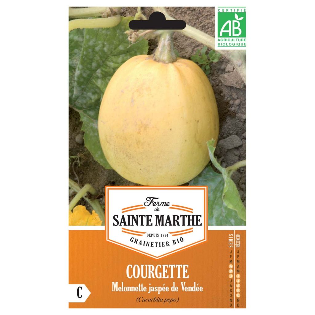 Garten-Kürbis Melonnette Jaspée de Vendée Bio - Ferme de Sainte Marthe