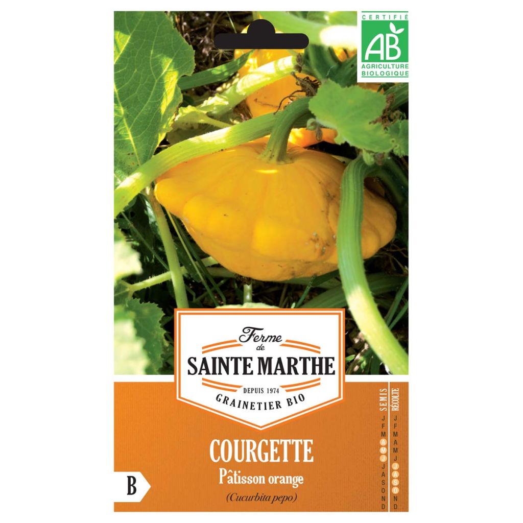 Üfo-Kürbis Pâtisson Orange Bio - Ferme de Sainte Marthe