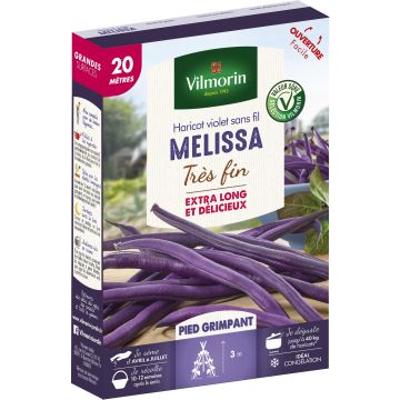 Stangenbohne Melissa - Vilmorin