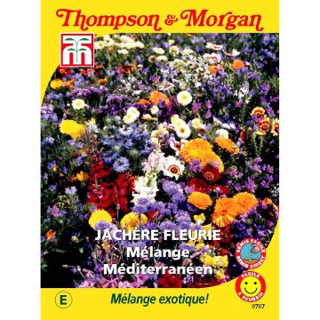 Wildblumensamen - Mediterrane Mischung