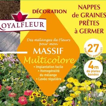 Bunte Blumenmischung für Beete - Teppich