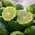 Bergamotte (Bergamote) – Citrus bergamia