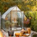 Pflanzen für Orangerie und Wintergarten