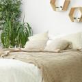 Pflanzen für das Schlafzimmer